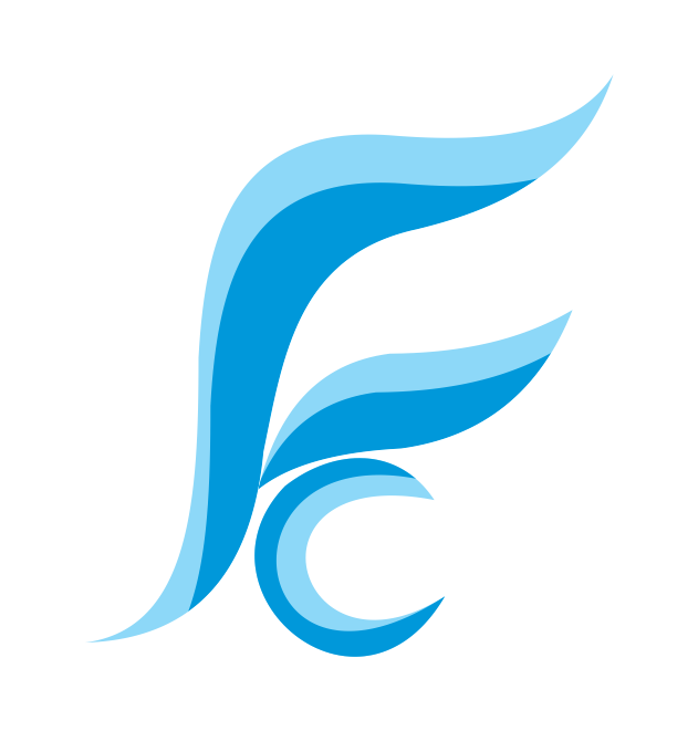 Flex Clean Logo